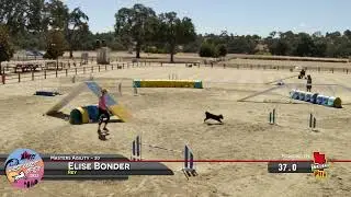 Rey. Masters Agility. West Coast Open 2025. Oct 2025