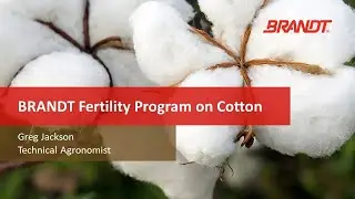 Cotton Fertility Program