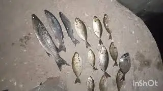 طريقه فعاله لصيد الاسماك #شرح العده المستخدمه (متعه التقويس مباشر )