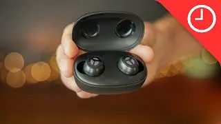 Tranya Rimor Review: Affordable true wireless earbuds for audiophiles