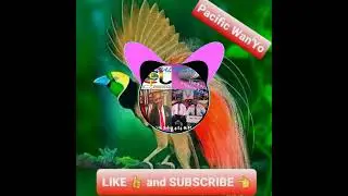 Lotu lo Spirit _ Enga Gospel _ PNG Music