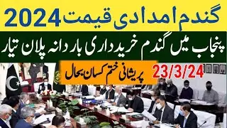 wheat support price in Punjab Pakistan 2024 |  wheat price update today 2024