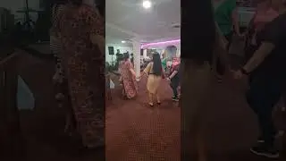 bos.sijelo~kolloo 2024.