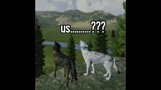 Let's play Wolf Quest (the beginning of pssfingers story)