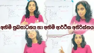 අහිමි සුබසාධනය හා අහිමි ආර්ථික අතිරික්තය - Dead Weight Loss & Economic Surplus