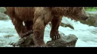 Bande annonce exclusive Terre des Ours