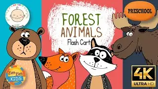 Zimzim Kids - Учим лесных животных - Flash Cart - Для детей (0-3 года) английский