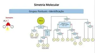 Simetria molecular: Determinação do grupo pontual