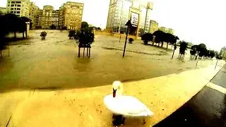 Inondations Montpellier rives du Lez 29 Septembre 2014 Alerte rouge