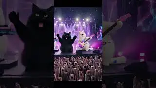 #MUSICHAPPYLIFE #KpopNewRelease #Shorts #IndieKpop #고양이 #신곡 #Cats #KoreanMusic