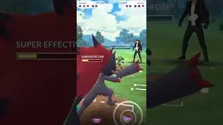 Double Glass Cannon Team