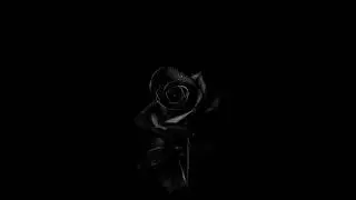 Trap Bells Type Beat
