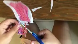 Ellise making a cute paper doll for you ❤️🥰😍 #diy #fiveyearold #5yearold #paperdoll 