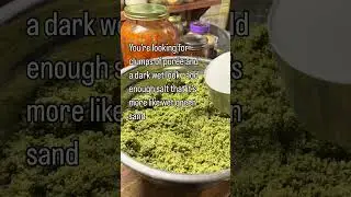 Preserving herbs with herb salts ! #gardening #foodpreservation #valueadded