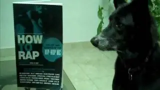 Dog rapping - dog learns from How To Rap book!!