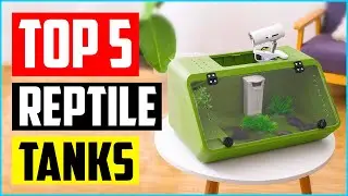 Top 5 Best Reptile Tanks in 2022 Reviews