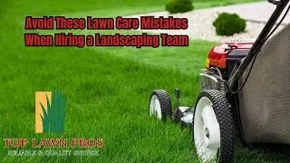 What to Look for in a Lawn Care Service (Homeowners & HOAs)