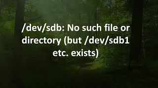 /dev/sdb: No such file or directory (but /dev/sdb1 etc. exists)