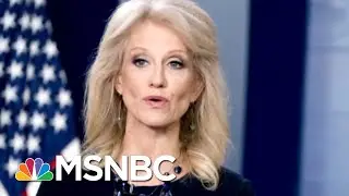 President Donald Trump Escalates Feud With Top Advisor&rsquo;s 'Husband From Hell' | Deadline | MSNBC