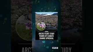 ARCTIC PLANT STUDY WARNS OF CLIMATE CHANGE UPHEAVAL