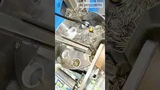 Melon seed sachet packing machine | Back sealing bag packaging machinery