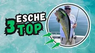 Le Top 3 Esche per lo Spinning alla Lampuga 🎣 | Le Migliori Scelte del 2025