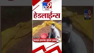 Tv9 Marathi News Top Headline Today | 23 MAY 2025 | 4 Minute 24 Headline Maharashtra Shorts 3
