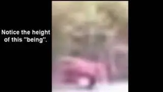 Real Alien Footage!!!-Analysis