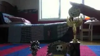 Room inspection 5.5/ 2/2 end of the trophies
