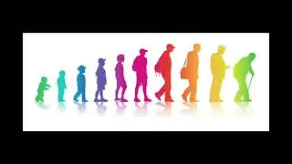 PSYCH 1100 Storyboard - Developmental Psychology