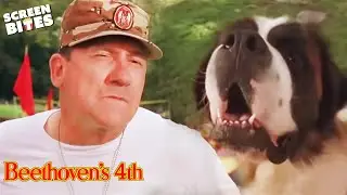 Naughty Beethoven Completes An Obstacle | Beethoven's 4th | Screen Bites