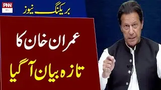 Big Statement of Imran Khan | Breaking News | PNN