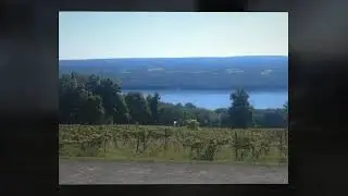 Seneca Lake Wineries Finger Lakes New York