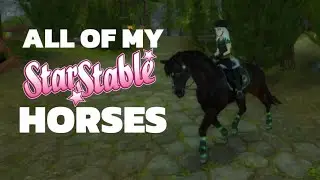 All Of My Horses|| BSSO