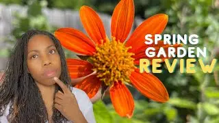 2021 Spring Gardening Season Wrap-Up #TNOG