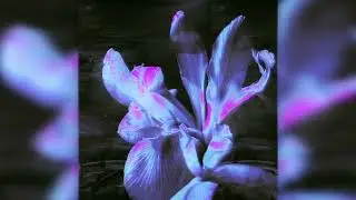 Ace Takuna & Alex Seira - CLOUT, CLOUT (Official Audio)