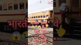 Anand Vihar LalKhuhan Express #youtube #trending #vendarap #expresstrain #indianrailways #viralshort