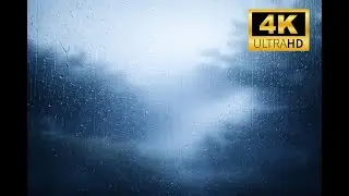 Soft Rain Sounds for Sleeping 🌧️ 10 Hours of Pure Calm