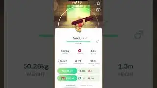 Catching Shiny Timburr [532] and Evolving To Shiny Gurdurr [533] To Shiny Conkeldurr [534]