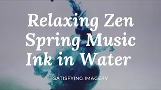 Relaxing Zen Spring Music With Ink in Water Satisfying Imagery