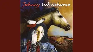 Indian Pony