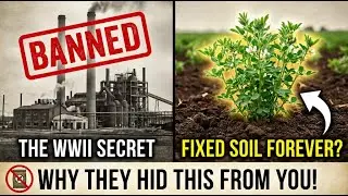 One WWII Plant Fixed Soil Forever Without Chemicals &mdash; Why Did Fertilizer Industry Lobby to Ban It?