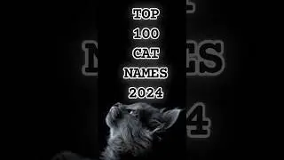 TOP 100 CAT NAMES OF 2024 20 - 16 #cats #catnames #top100 #cat #cats #lists #shorts