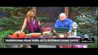Prepare your yard for fall bird feeding