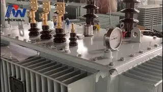 11kV 6.6kV Dual Voltage Oil Immersed Distribution Transformer