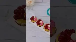 Clear cupcake boxes  Amazon prime free shipping:                               