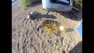 FWFS Spearfishing Tournament, Flaming Gorge, Utah 2013