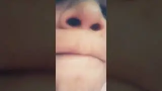riej