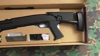 Double Eagle DE M56C spring shotgun & chrono.
