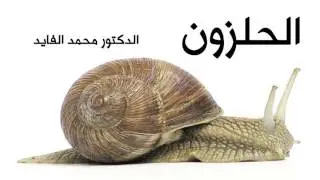 Mohamed Faid -  Snail الحلزون -  محمد فايد